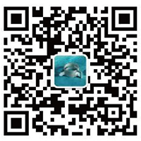 公众号二维码